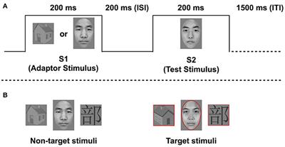 Sex Differences in Categorical Adaptation for Faces and Chinese Characters during Early Perceptual Processing